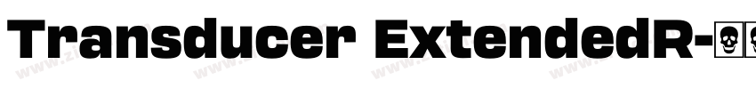 Transducer ExtendedR字体转换